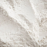 Probiotic Blend (19 strains)